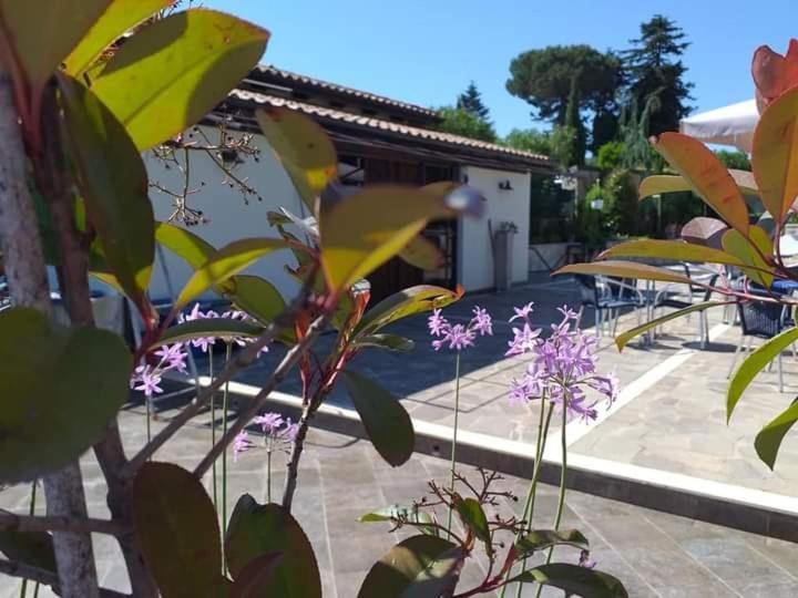 Borgo Nicoletta Case Per Le Vacanze Filandari 外观 照片